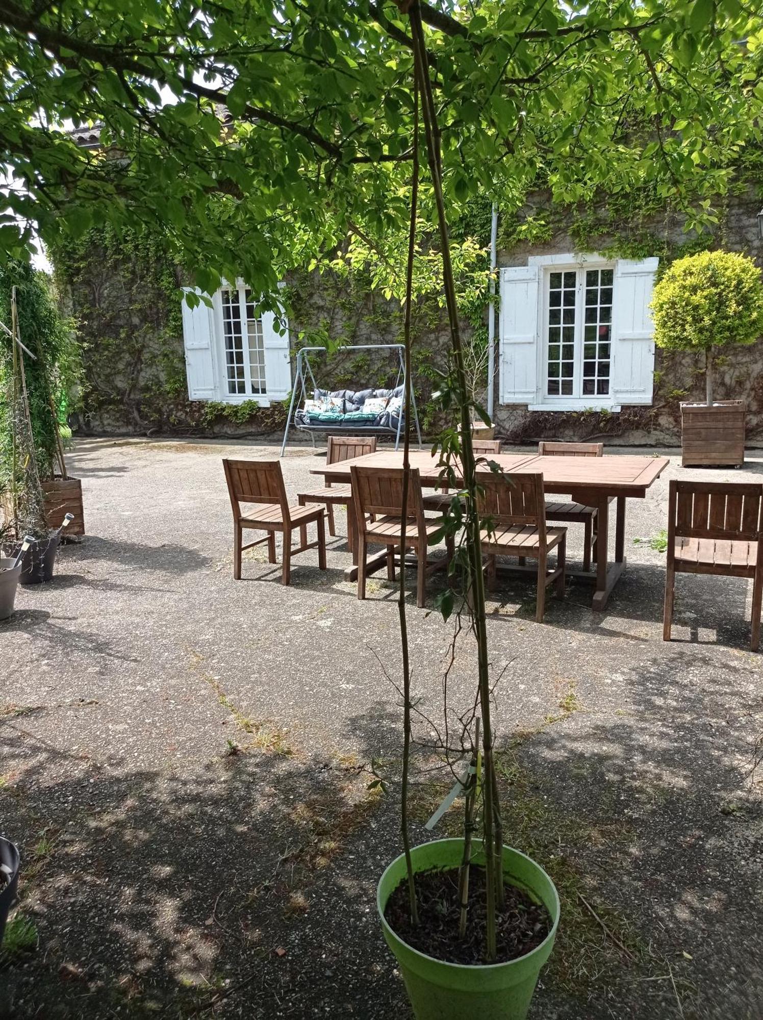 Le Chateau De Roquebere Condom Exteriör bild
